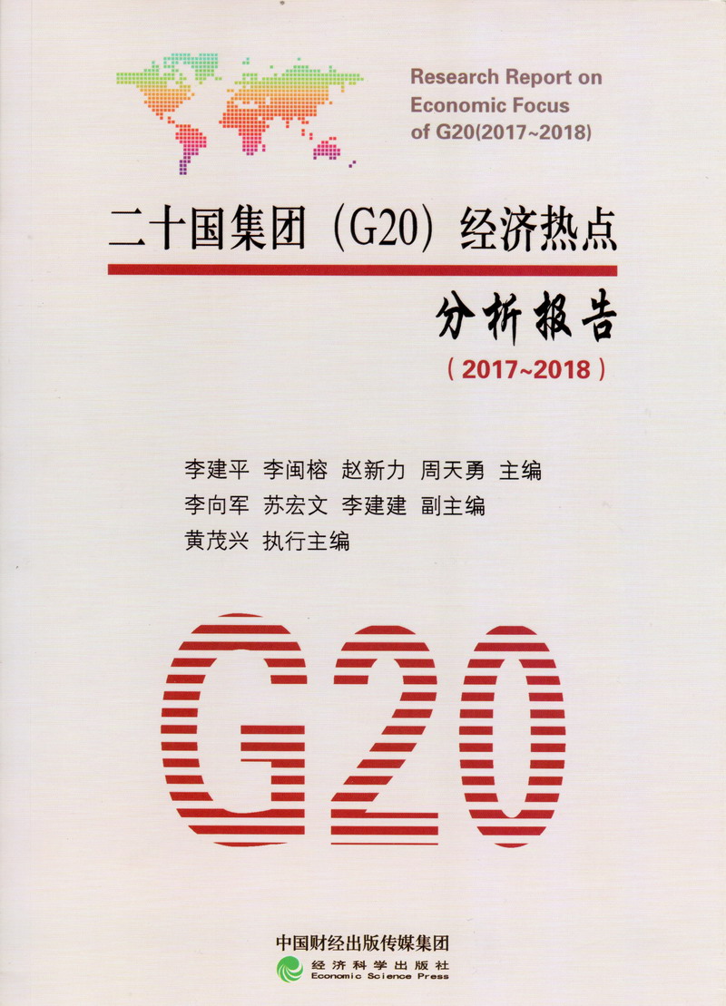 大鸡吧插骚逼视频二十国集团（G20）经济热点分析报告（2017-2018）